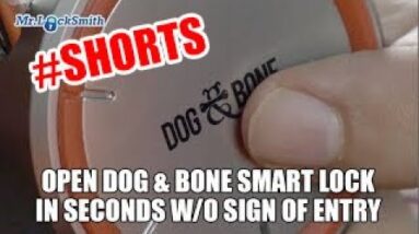 Open Dog & Bone Smart Lock In SECONDS #Shorts