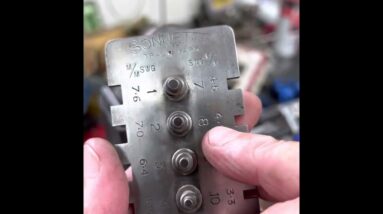 Bulldog in great condition