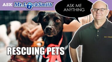Ask Mr Locksmith: Rescuing Pets Locked in House