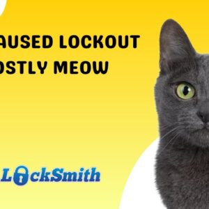 Cat-Caused Lockout: The Costly Meow