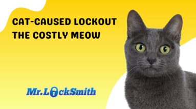 Cat-Caused Lockout: The Costly Meow