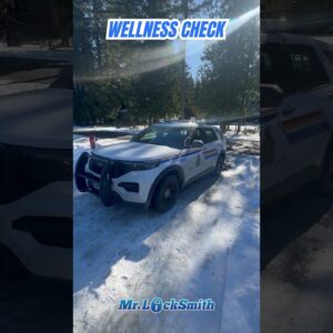 Alive and Kicking: A Successful Wellness Check | Mr. Locksmith™